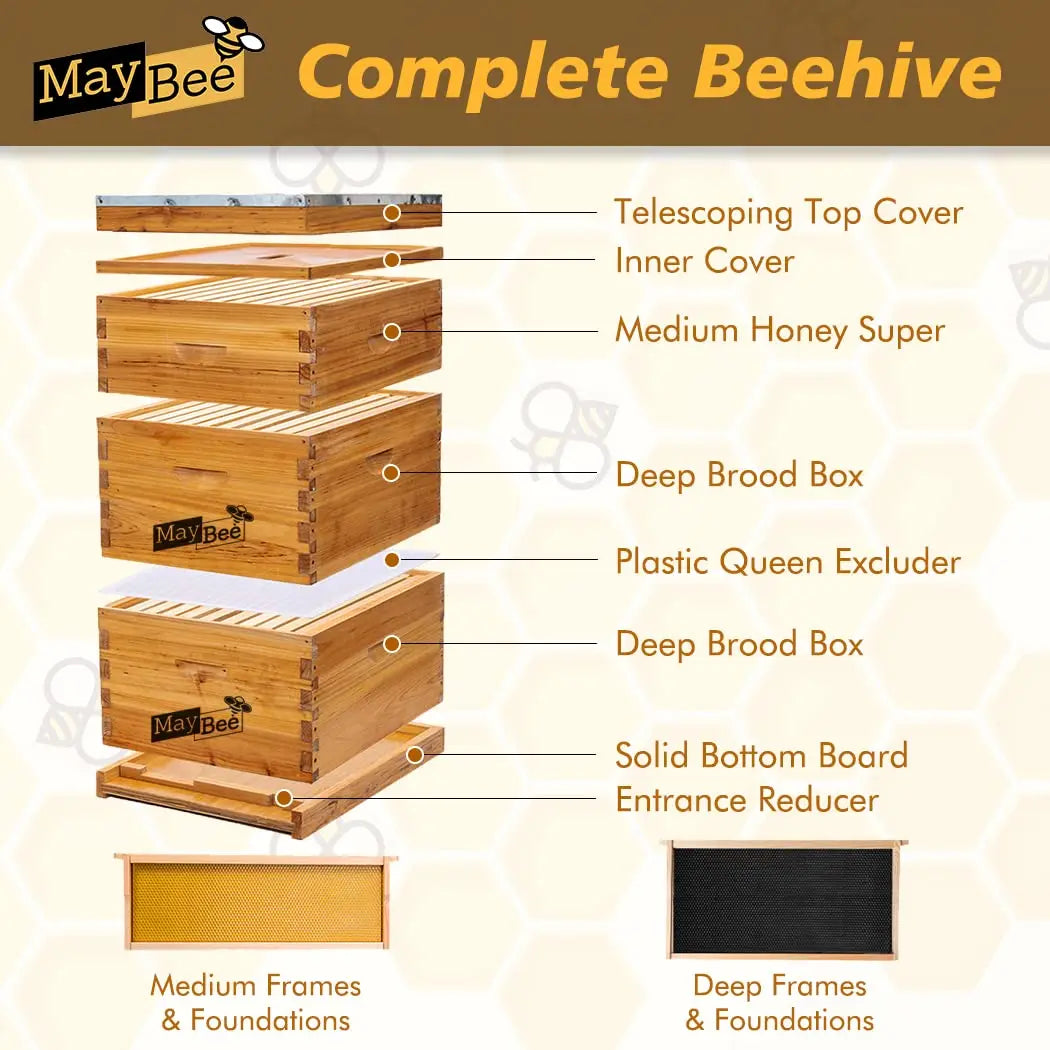 Langstroth Beehive Starter Kit With Beeswax Coated Boxes For Beginners