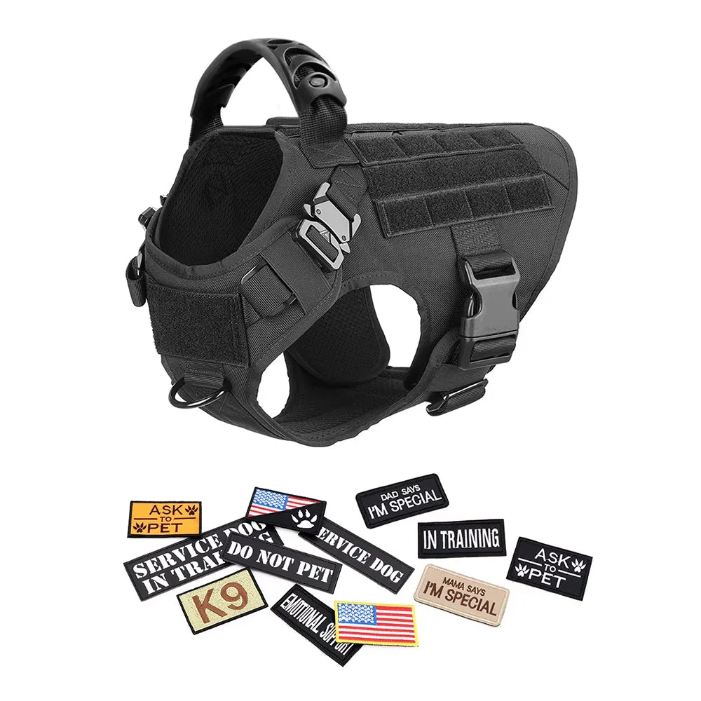 Military-grade large black tactical dog harness with handle and patches set for Malinois training
