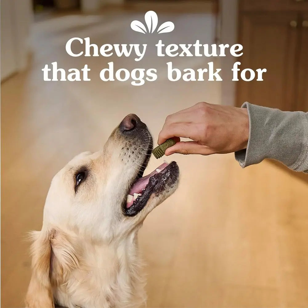 Original Flavor Dog Training Treats For Training And Rewards