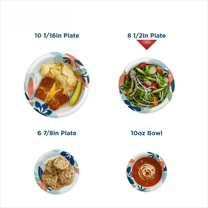 Disposable Paper Plates, 8.5", Multi-Color, 100 Count by S And B Enterprise