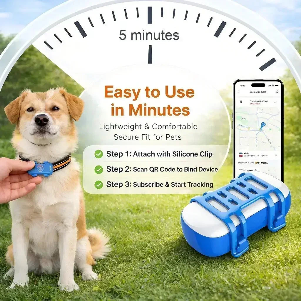 GPS pet tracker on a dog's collar with a blue silicone clip and a smartphone map display.