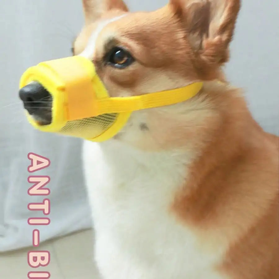 Adjustable Anti Bite Dog Muzzle For Training Breathable Mesh Design by S And B Enterprise