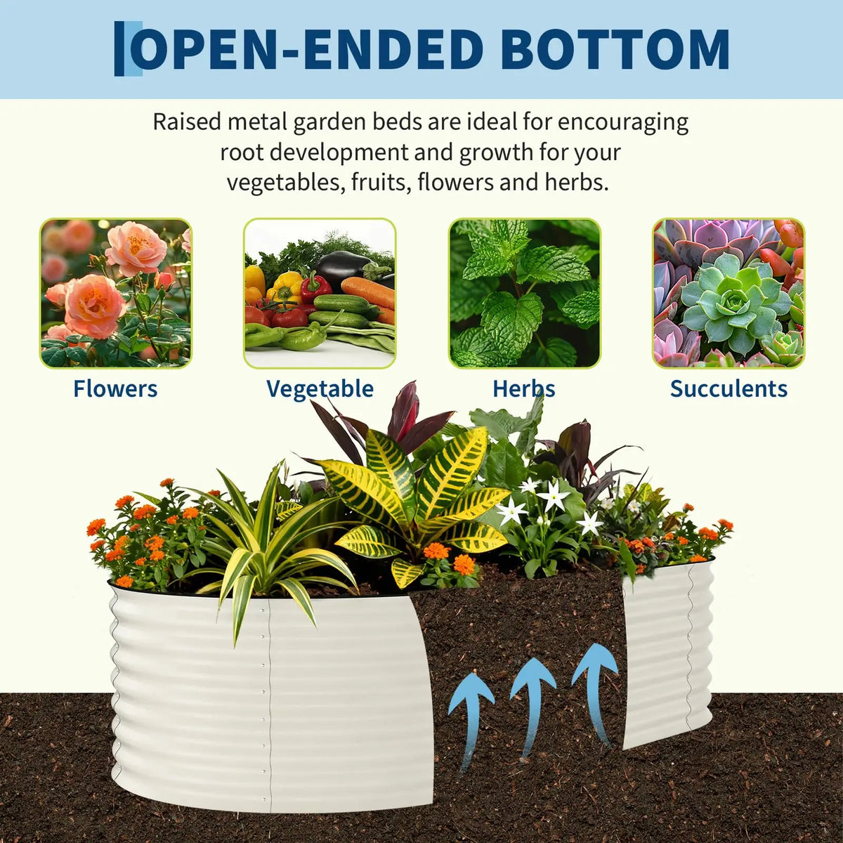 2-pack galvanized raised garden beds, open-bottom metal planters for vegetables, flowers and herbs.