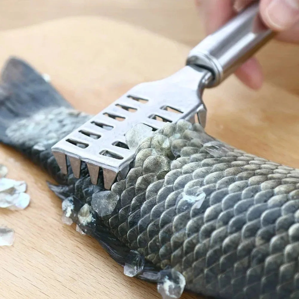 Multi-Purpose Kitchen Scraper by S And B Enterprise; 23cm stainless steel fish scaler with non-slip handle