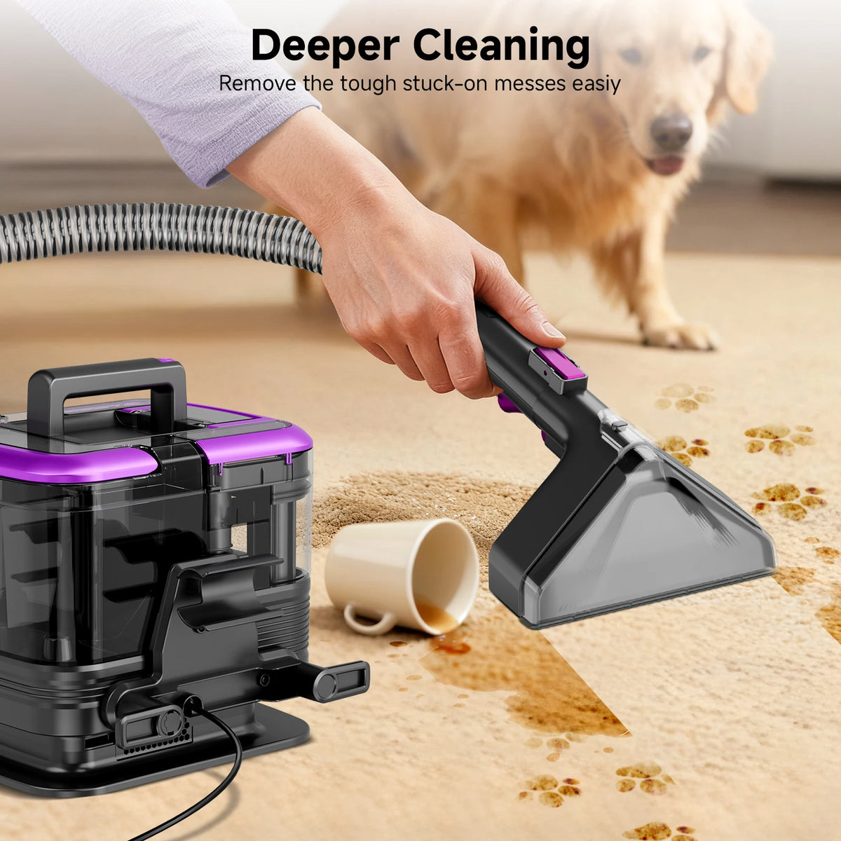 Honki 530W carpet cleaner handheld with purple and black body, portable wet-dry cleaner by S And B Enterprise