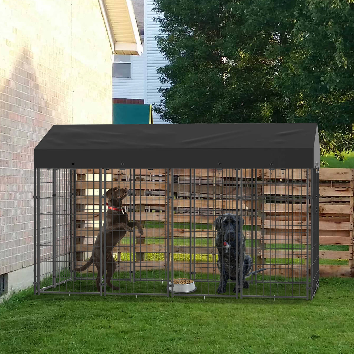 Large outdoor dog kennel by S And B Enterprise with welded wire frame and dark canopy, housing two dogs
