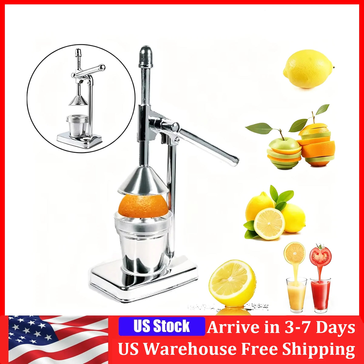 Stainless Steel Manual Orange Juicer by S And B Enterprise