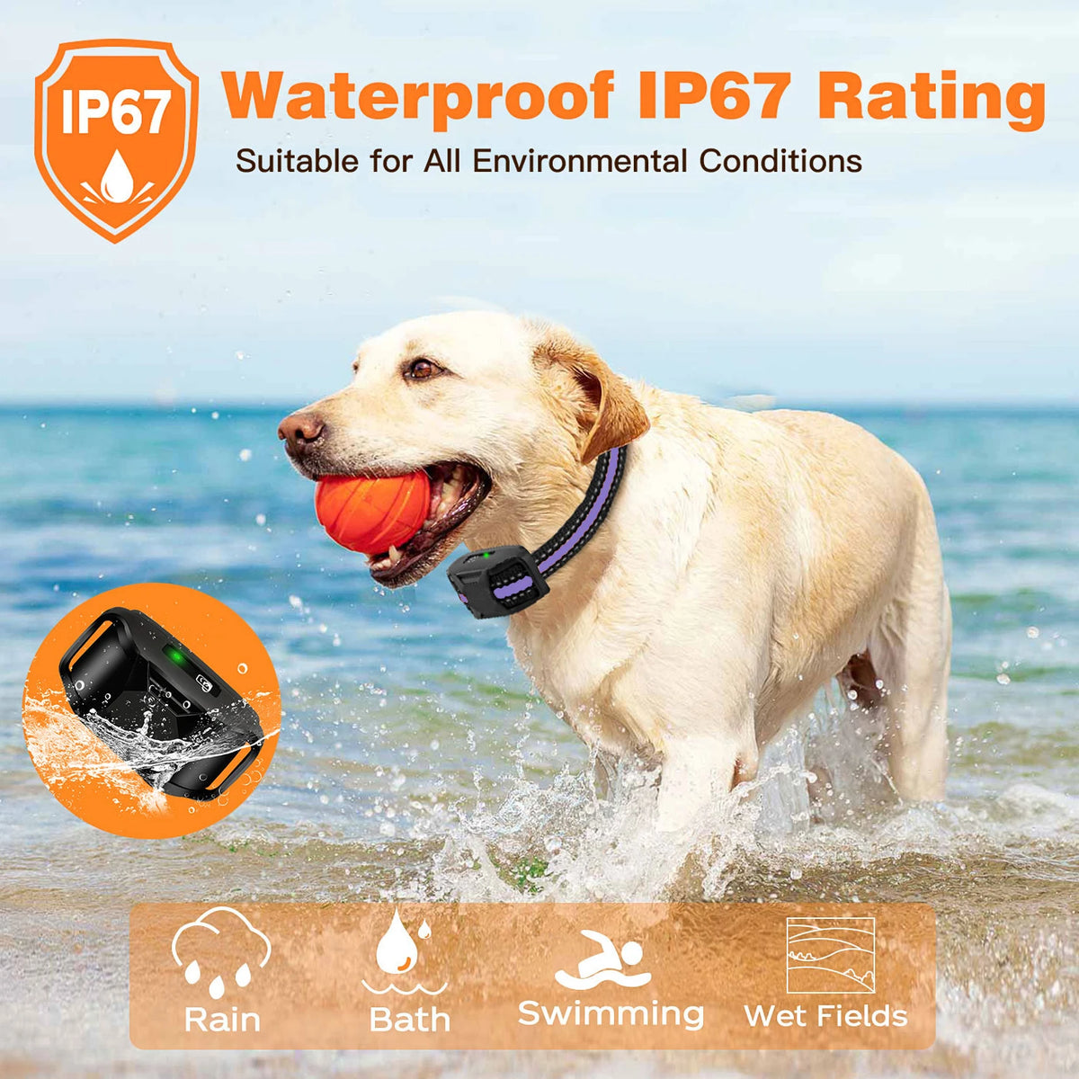 WXRPETH Dog Training Collar Remote Waterproof Shock Beep Vibration by S And B Enterprise