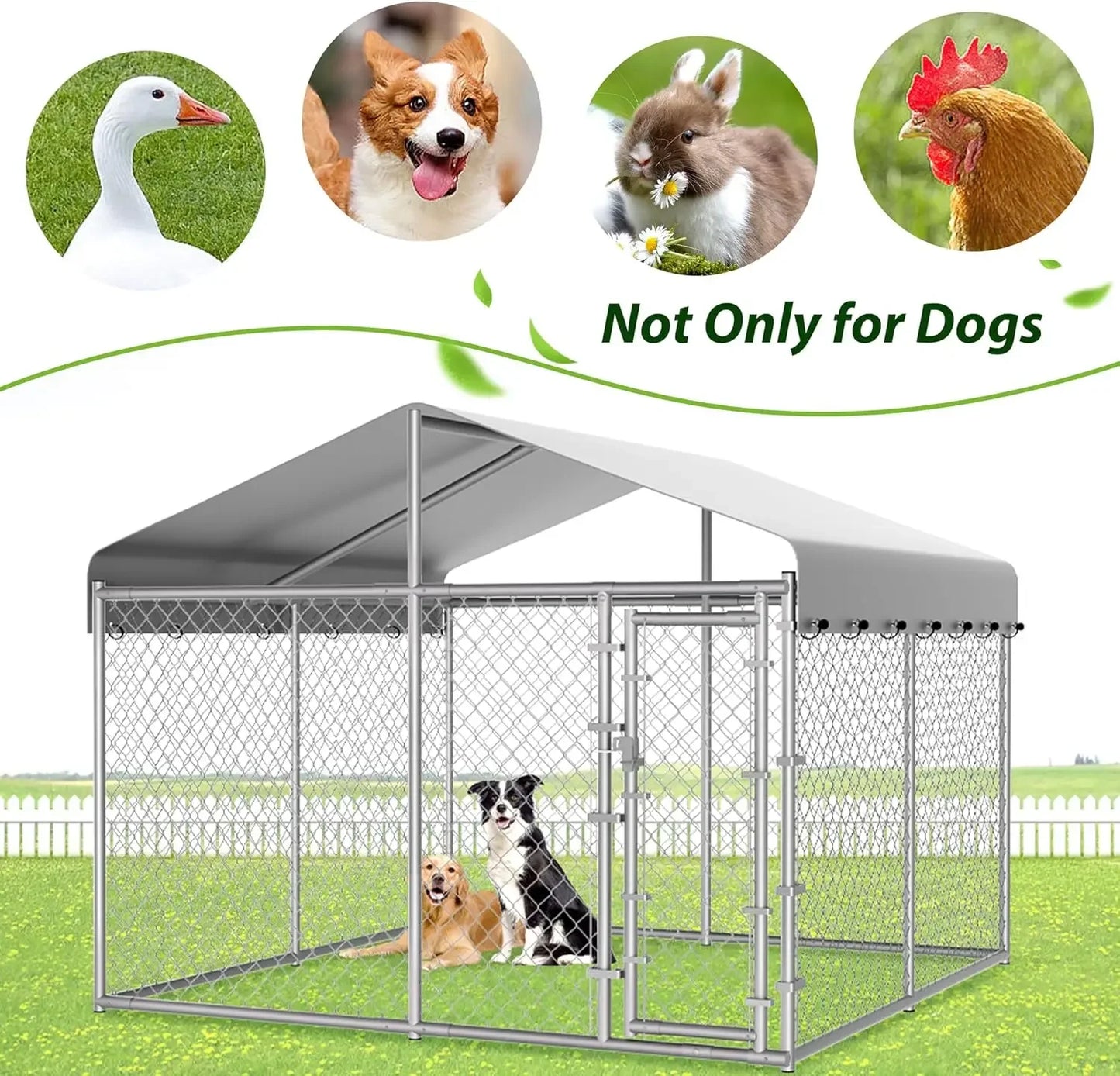 Outdoor Galvanized Chain Link Dog Kennel With Durable Roof