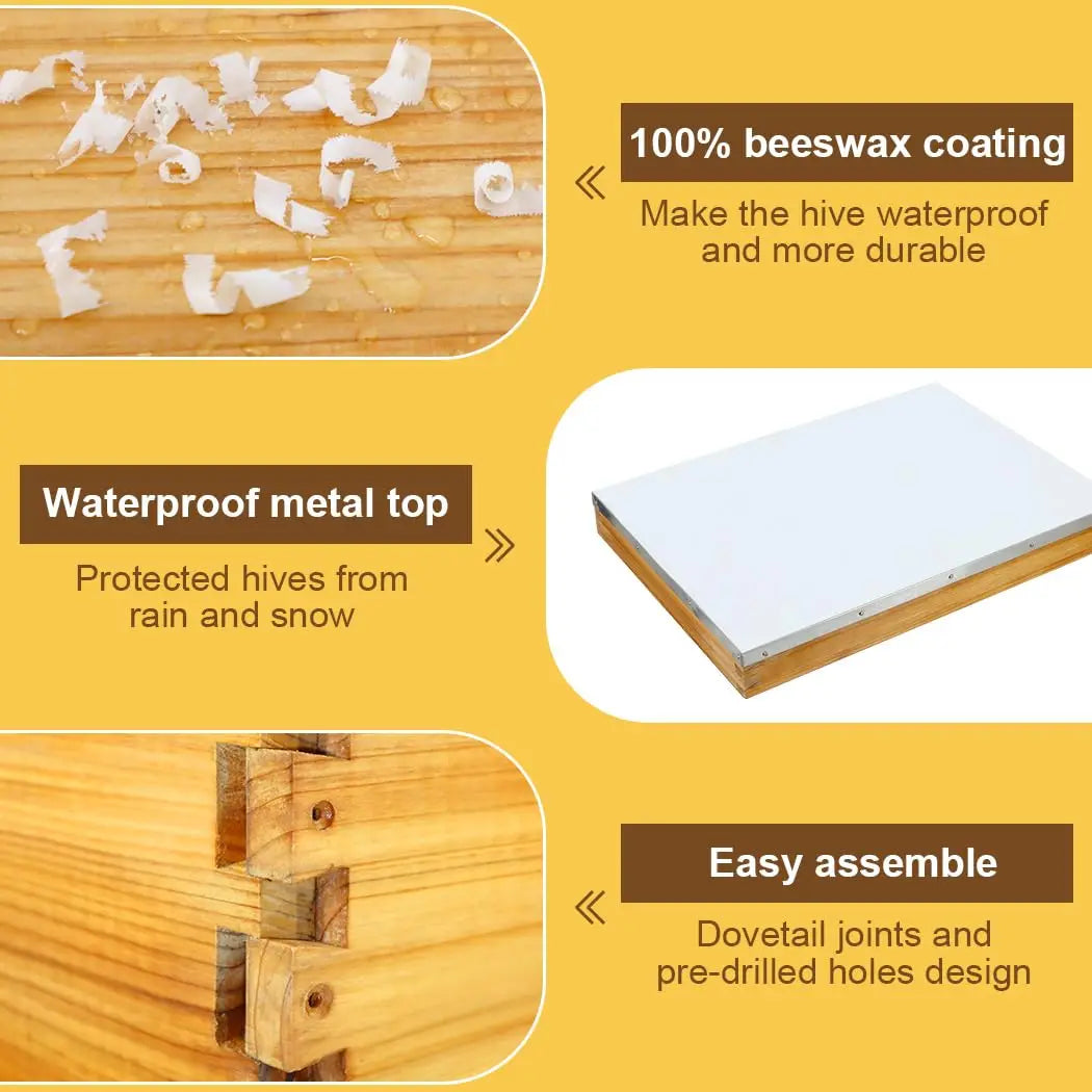 10-Frame Langstroth beehive kit with heavy beeswax coating, deep and medium boxes, and a waterproof metal lid