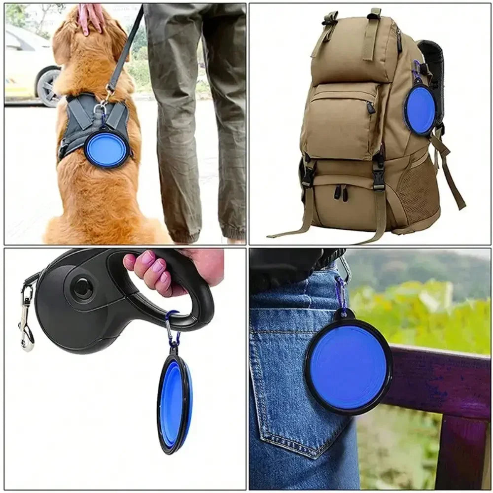 Ceramic 2-In-1 Dog Feeder Bowl With Travel Carabiner by S And B Enterprise