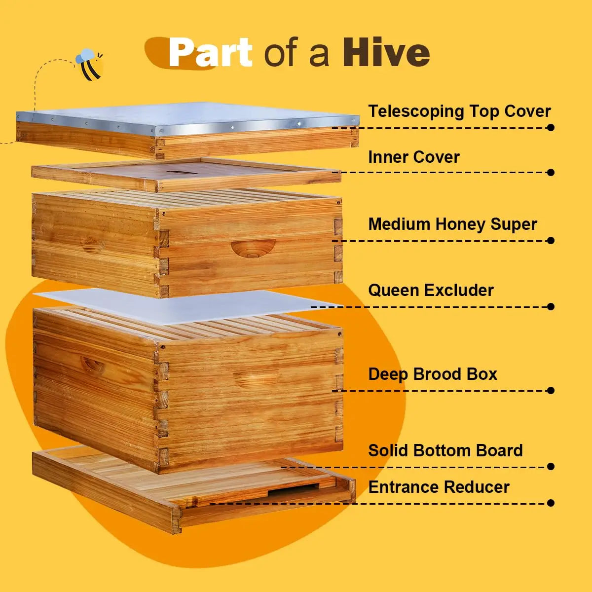 Langstroth beehive kit by S And B Enterprise; includes 1 deep brood box and 1 medium honey super with top cover.