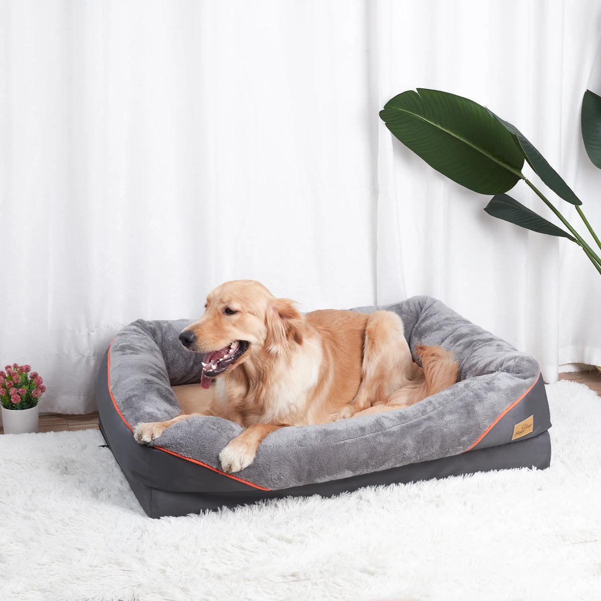 BINGOPAW Dog Bed With Washable Cover Anti Allergy Warm Fleece by S And B Enterprise