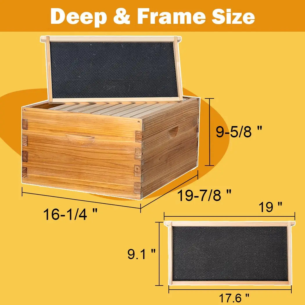 Langstroth beehive kit, 10-frame, heavy beeswax-dipped wood with 1 deep box and 1 medium box, S And B Enterprise