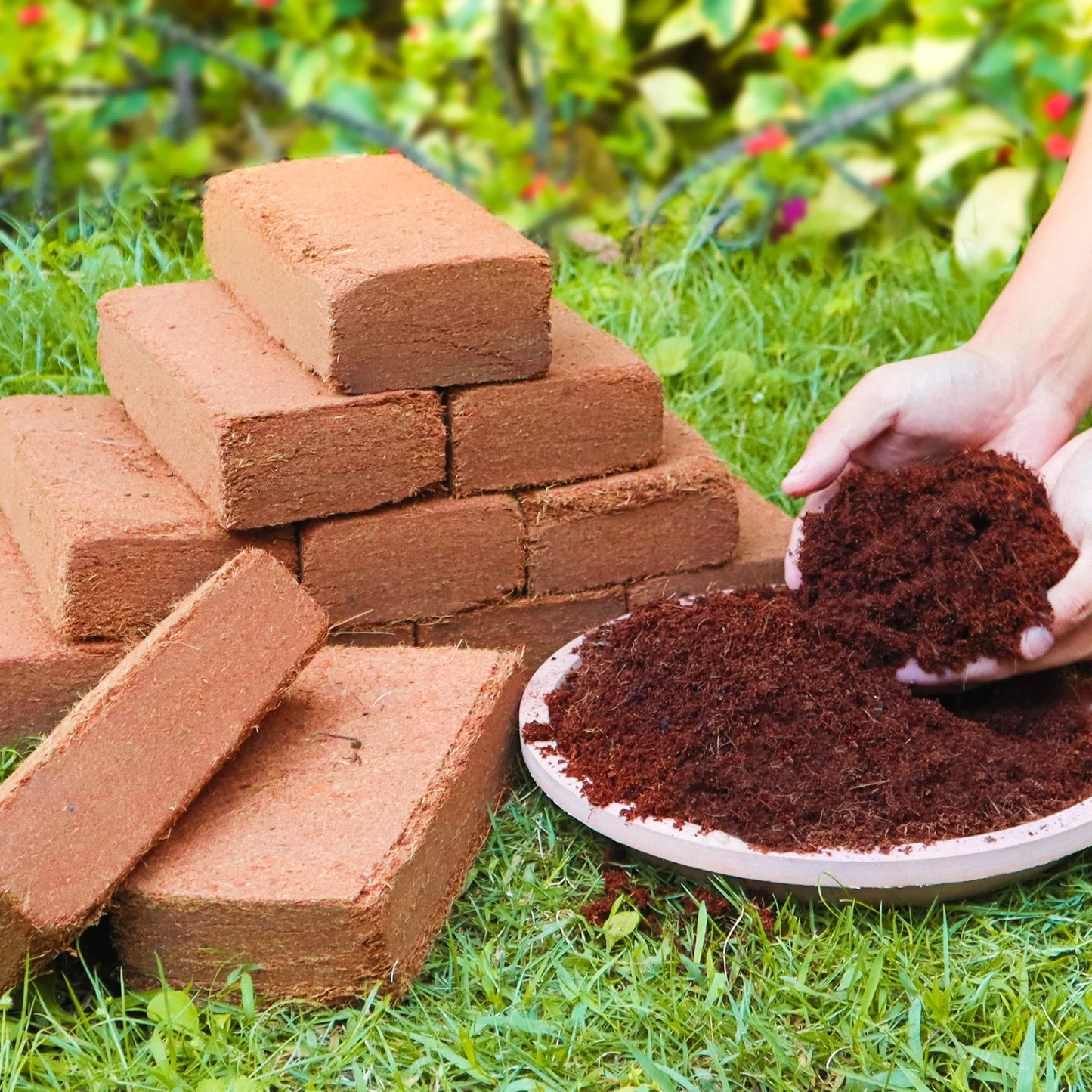 Coco Coir Brick for Plants Premium 100 Percent Organic