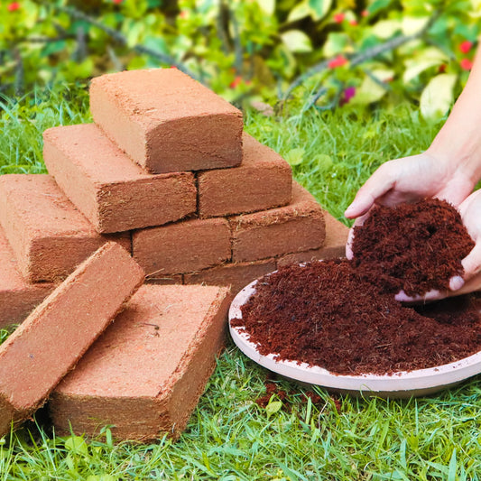 Coco Coir Brick for Plants Premium 100 Percent Organic