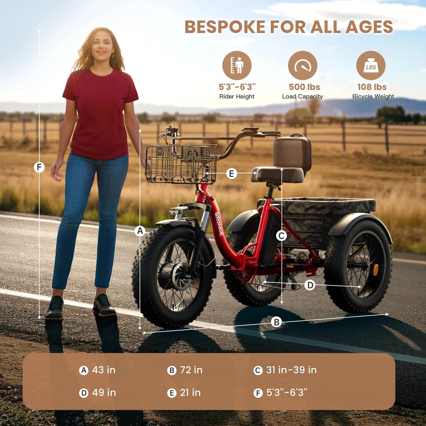 QRONGE Electric Bike For Adults 960W Peak Folding Tricycle