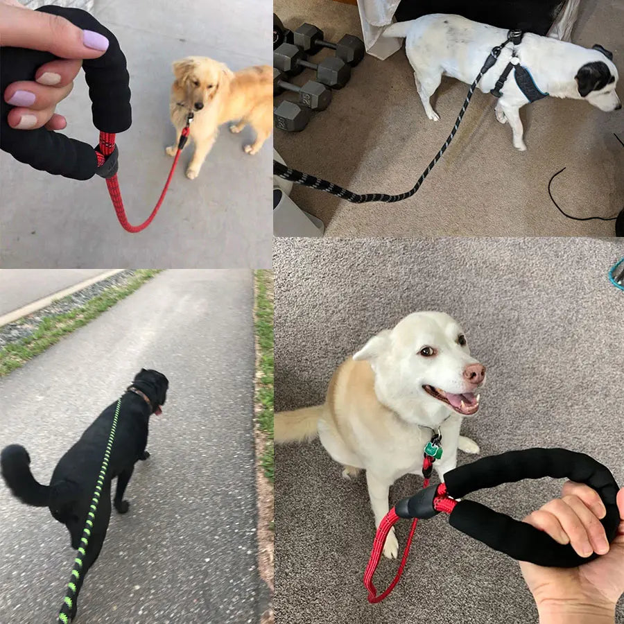 Pet Leash Reflective Strong Dog Leash 1.5M Long with Comfortable Padded Handle Heavy Duty Training Durable Nylon Rope Leashes by S And B Enterprise