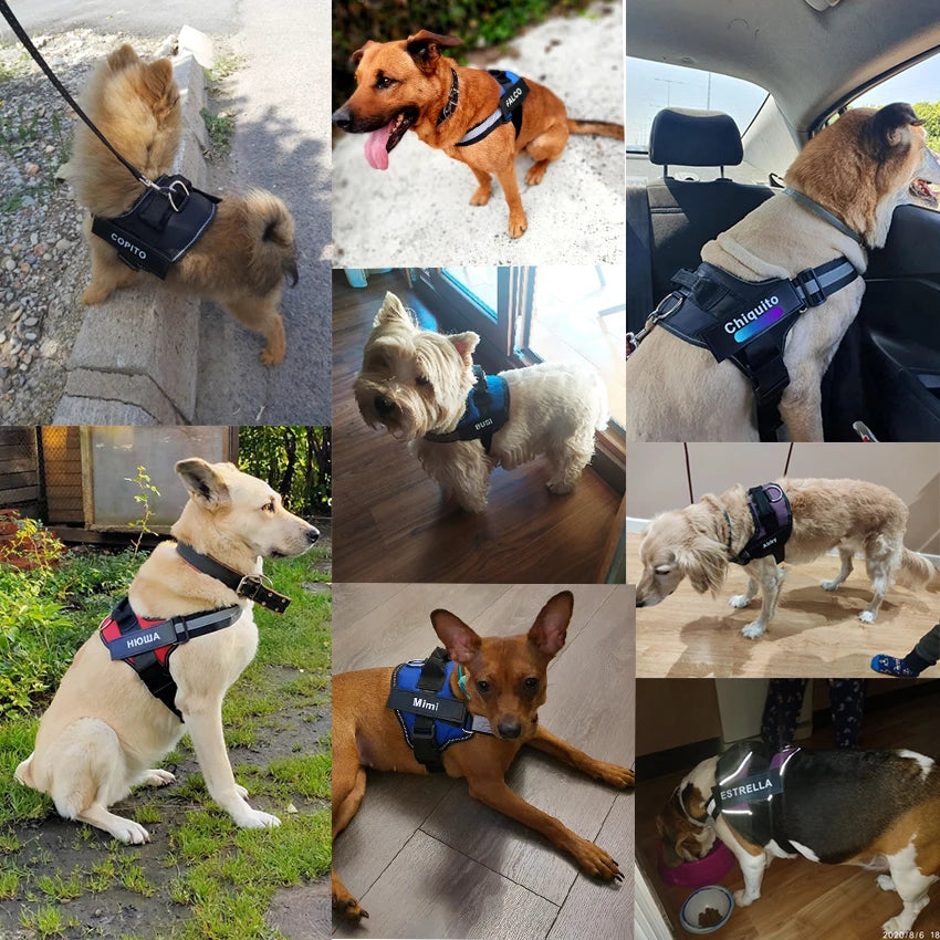 Dog Harness NO PULL Reflective Breathable Adjustable Pet Harness Vest with ID Custom Patch Outdoor Walking Dog Supplies by S And B Enterprise