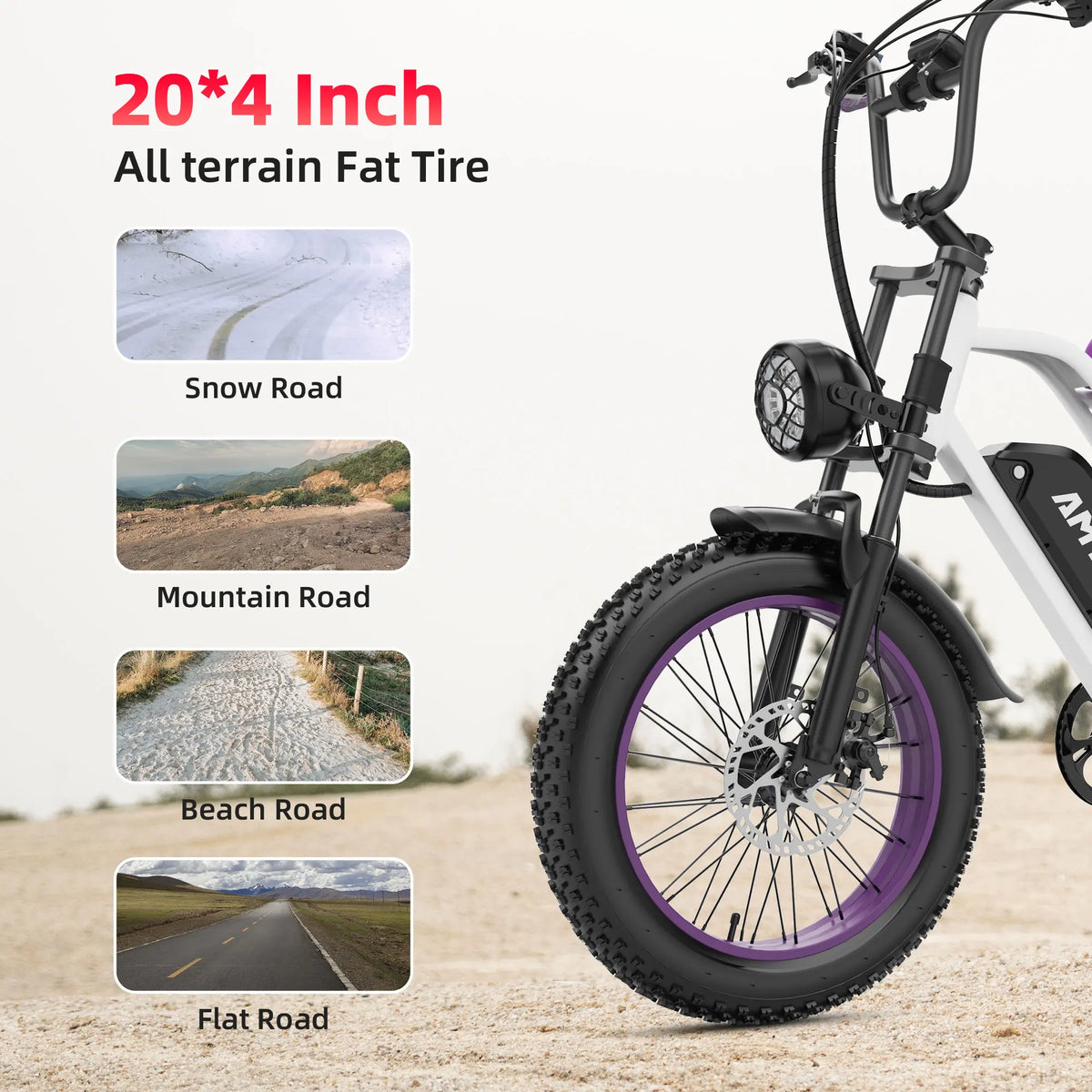 AMYET V9-G60 adults electric bike with 20-inch fat tires and purple rims, 1000W motor