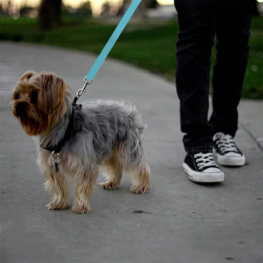 Pet Car Belt For Dogs And Cats Retractable Backseat Leash by S And B Enterprise