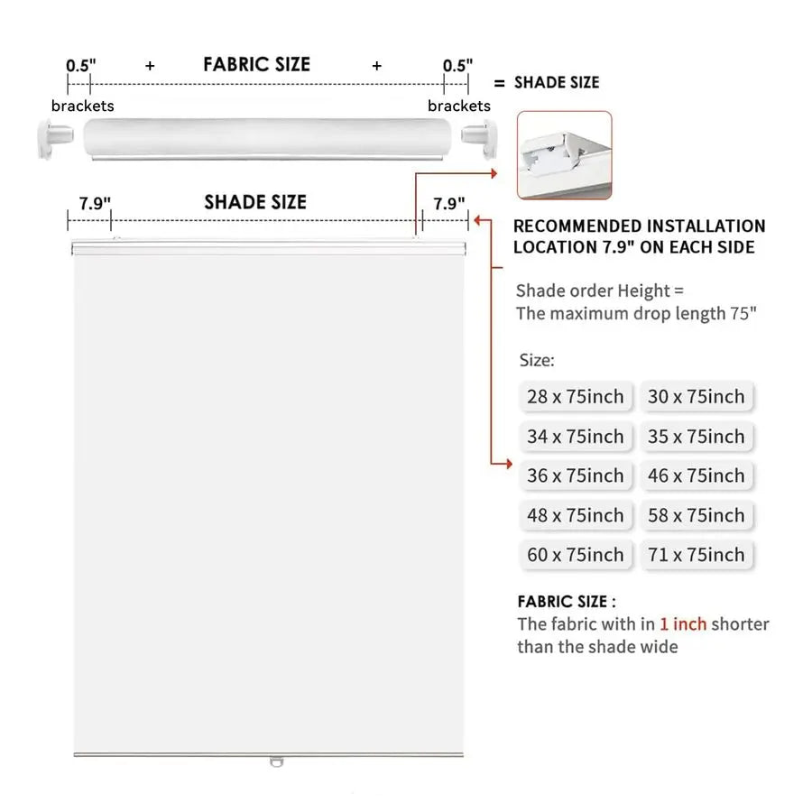 Cordless Blackout Roller Shade For Windows