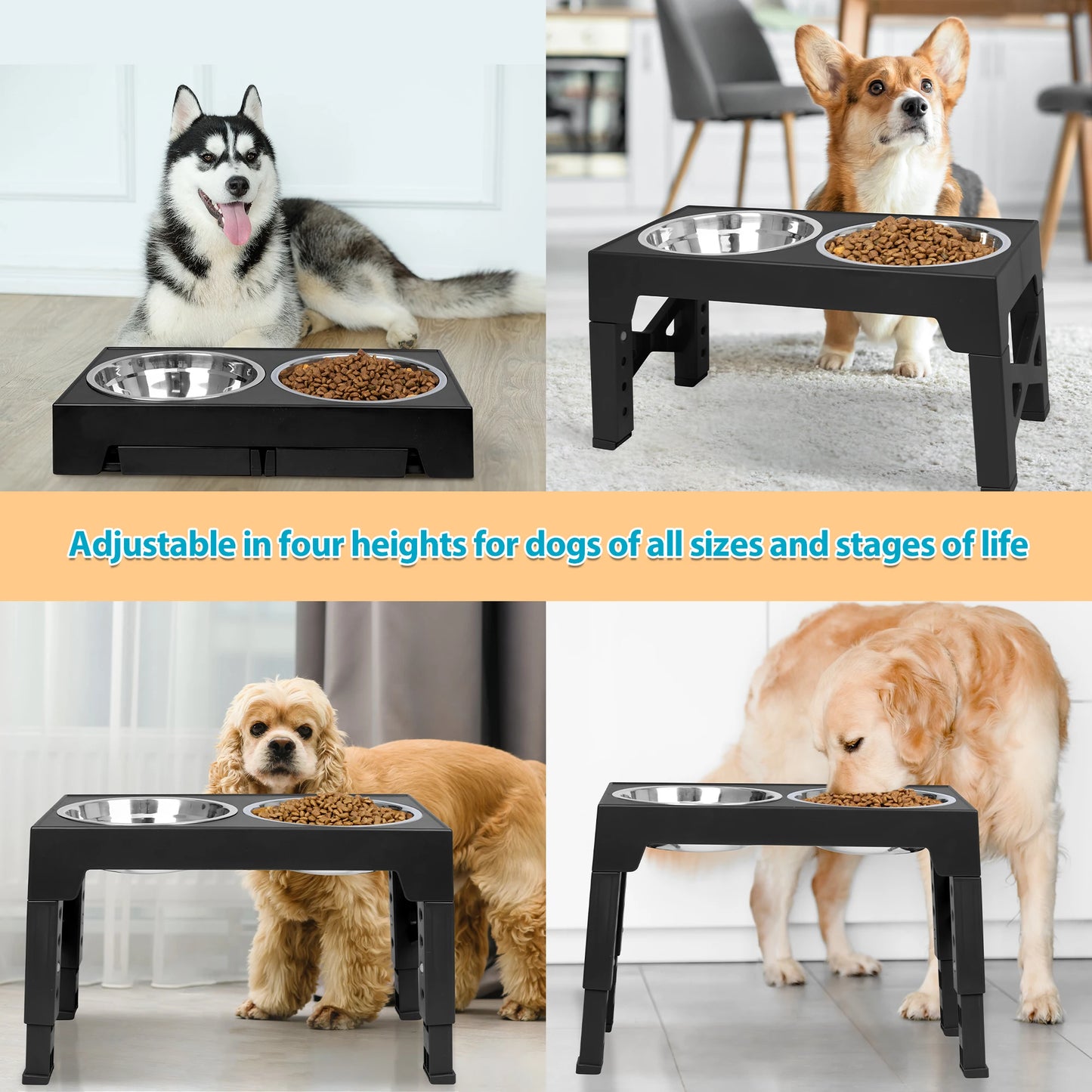 Elevated Dog Bowl Stand With Adjustable Heights And Stainless Steel Bowls by S And B Enterprise