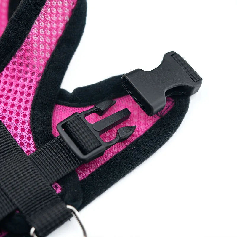 Hot summer small dog pet chest and back breathable dog chest and back suit cat outdoor traction rope child collar by S And B Enterprise
