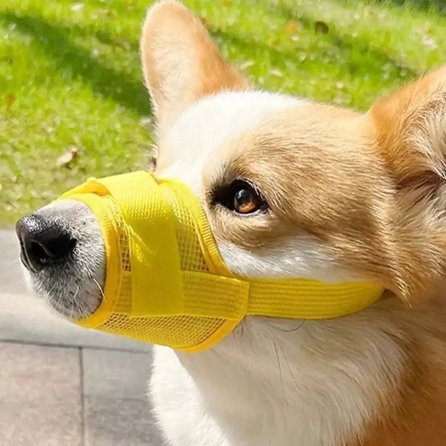 Adjustable Anti Bite Dog Muzzle For Training Breathable Mesh Design by S And B Enterprise