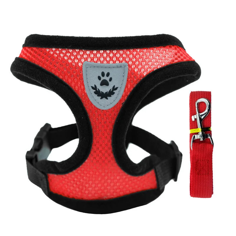 Hot summer small dog pet chest and back breathable dog chest and back suit cat outdoor traction rope child collar by S And B Enterprise