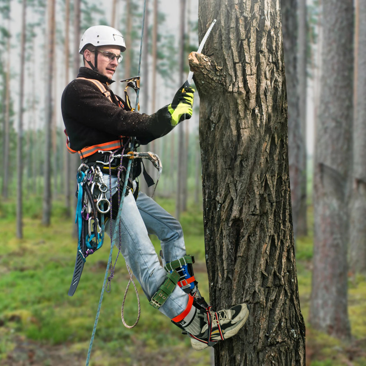 Tree climbing spikes kit with safety harness and gloves, double-teeth arborist gear by S And B Enterprise.