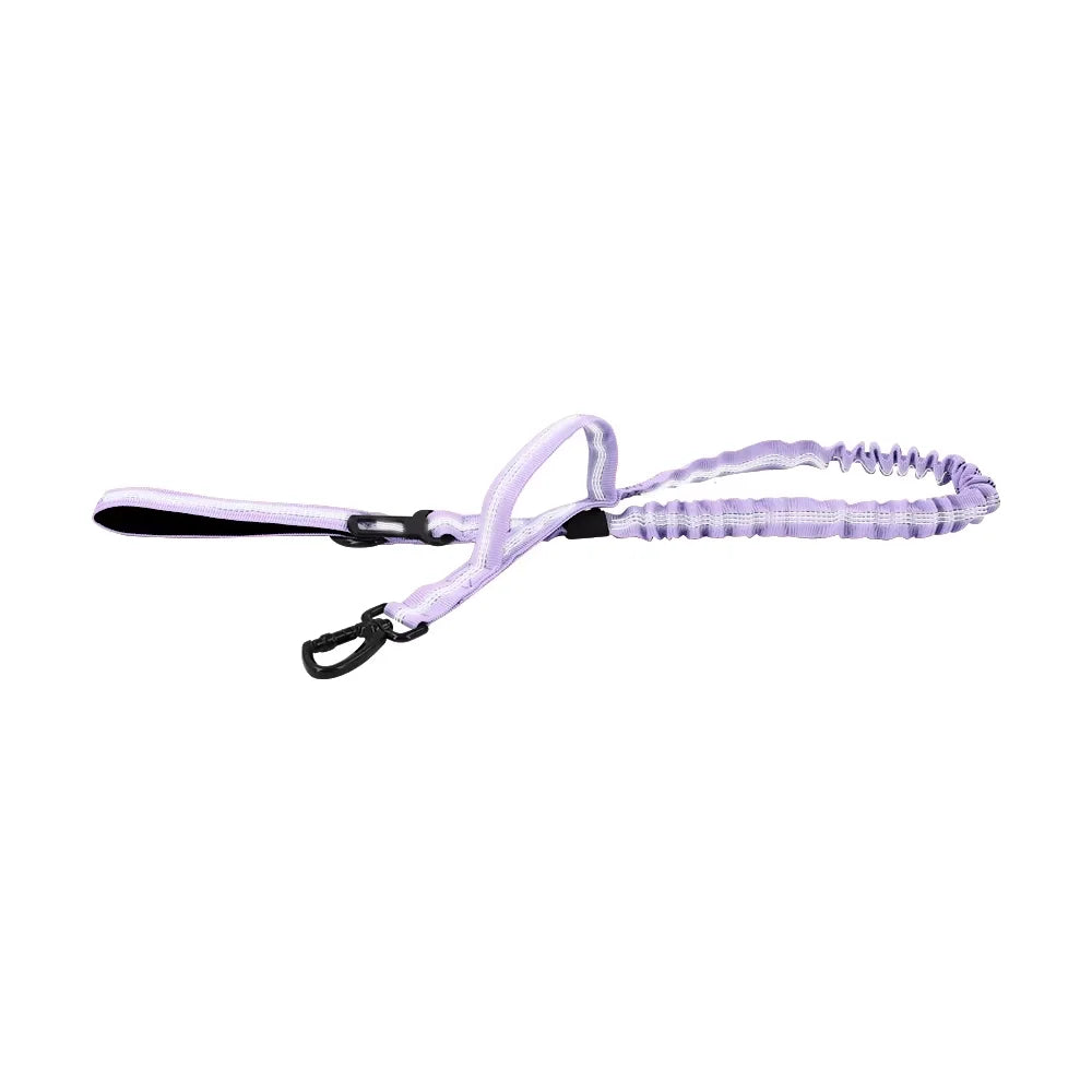Purple adjustable military dog leash with elastic bungee cord and 2 handles for small/medium dogs