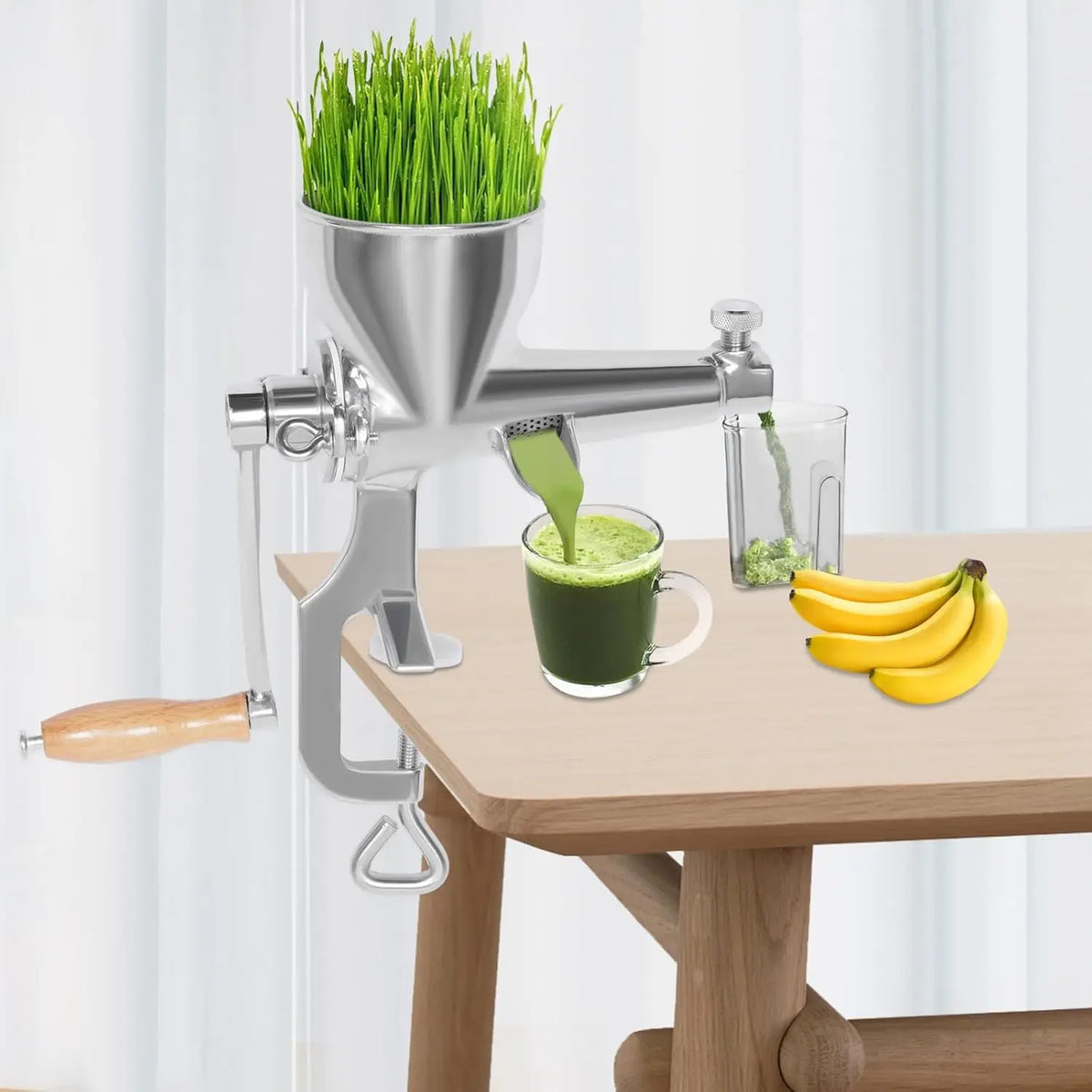 Manual wheatgrass juicer in stainless steel, mounted on a clamp with fresh greens and green juice flowing into a glass