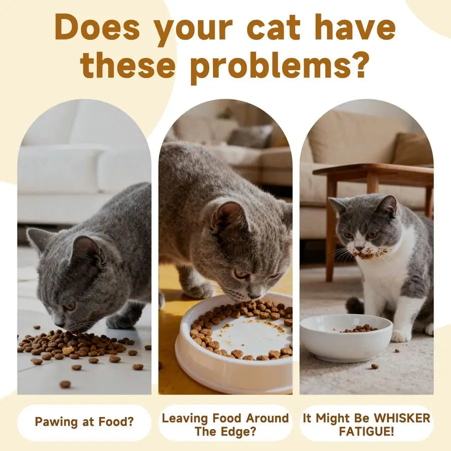 XMSJ Elevated Ceramic Cat Bowl Whisker Fatigue Relief