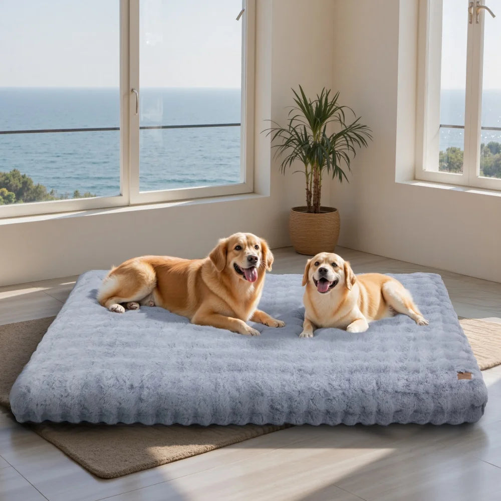 Ultra Plush Dog Bed in light gray, large size, washable mat; two dogs lounging.