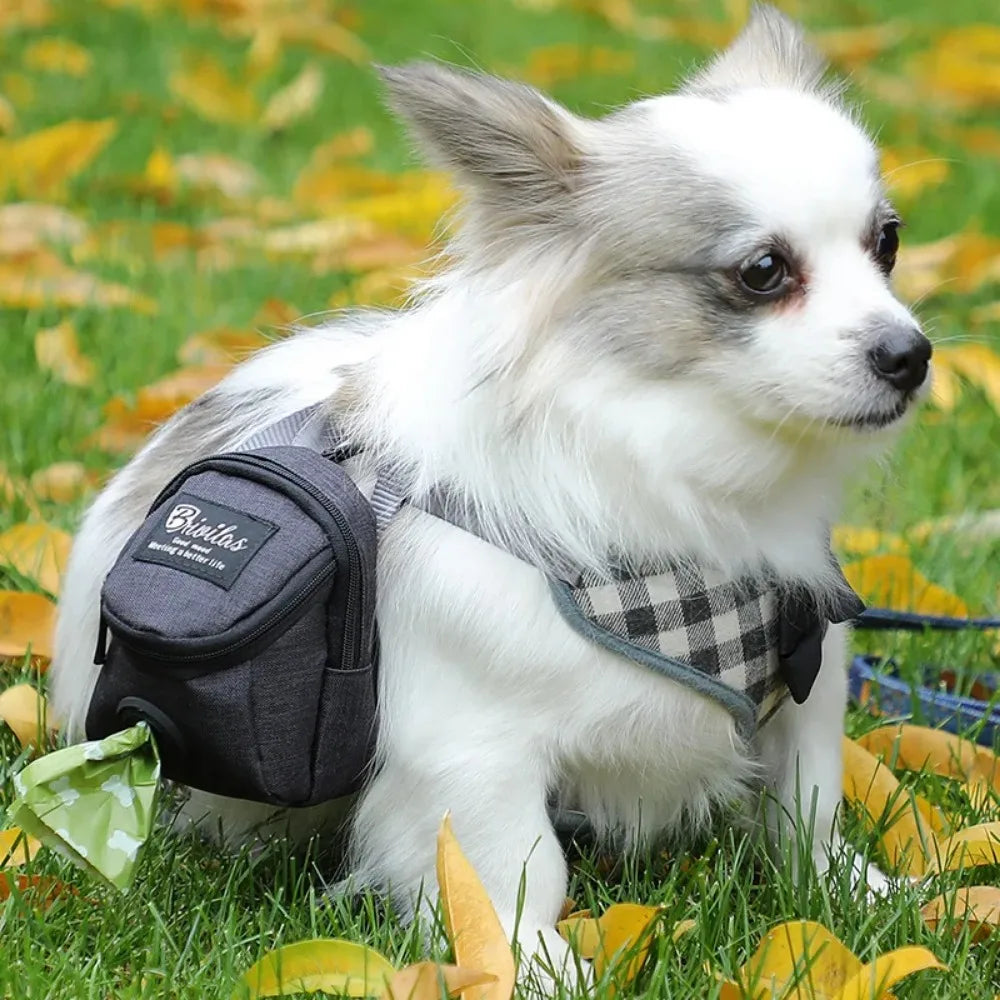 Portable dog treat bag waist pouch on a small dog wearing a gray plaid harness.