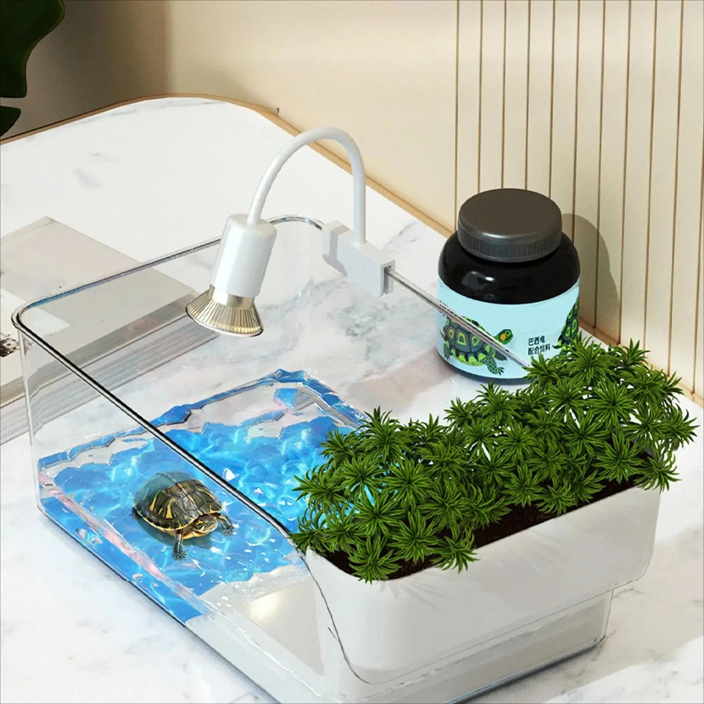 Turtle Tank With Basking Area Transparent Reptile Terrarium Habitat