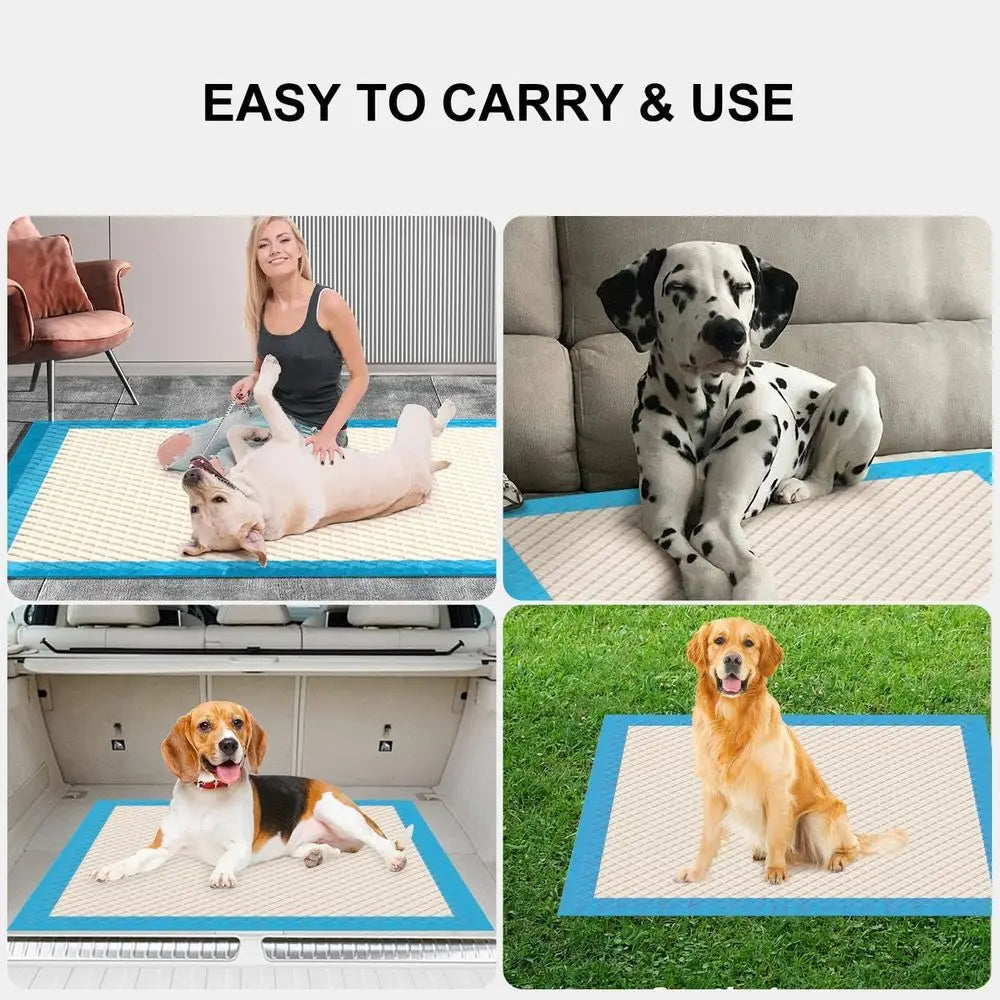 Ultra Absorbent Dog Pee Pads Leak Proof Odor Control by S And B Enterprise