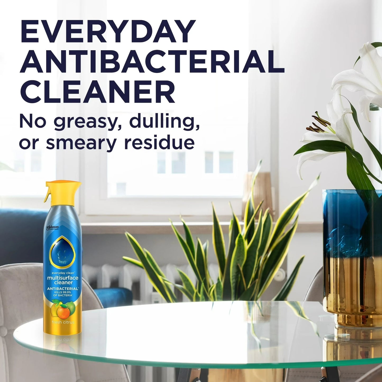 Everyday Cleaner Multi Surface Antibacterial Cleaner, Aerosol, Fresh Citrus, 9.7 oz by S And B Enterprise