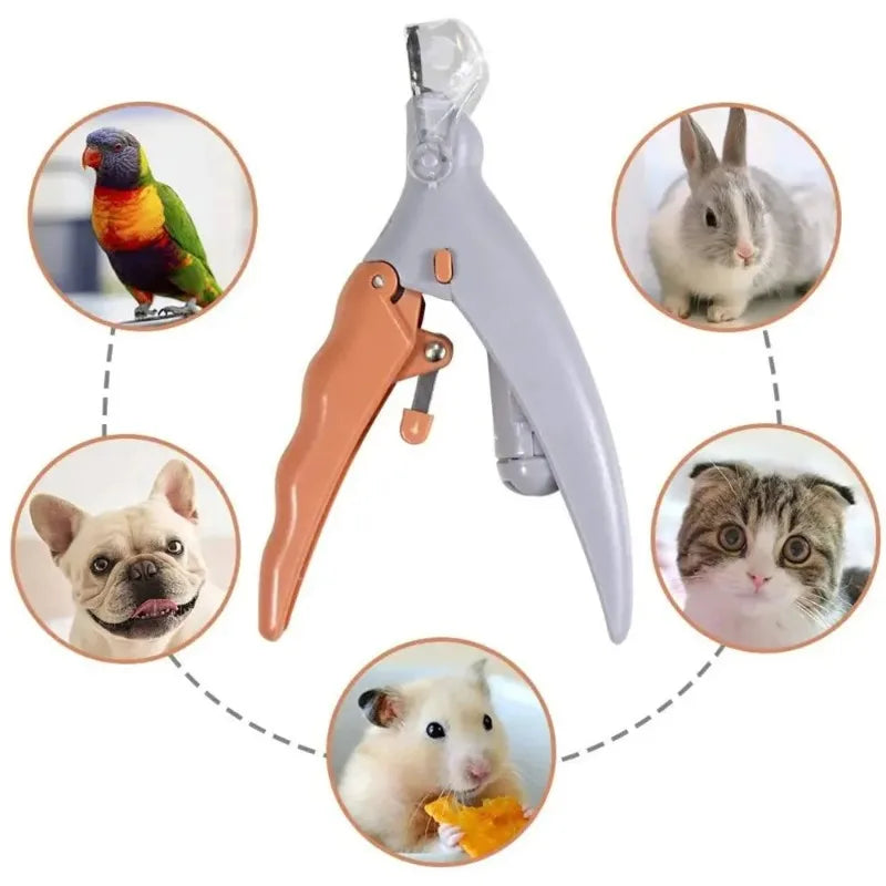 LED light pet nail clipper by S And B Enterprise, gray with orange lever for dogs, cats, and small animals.