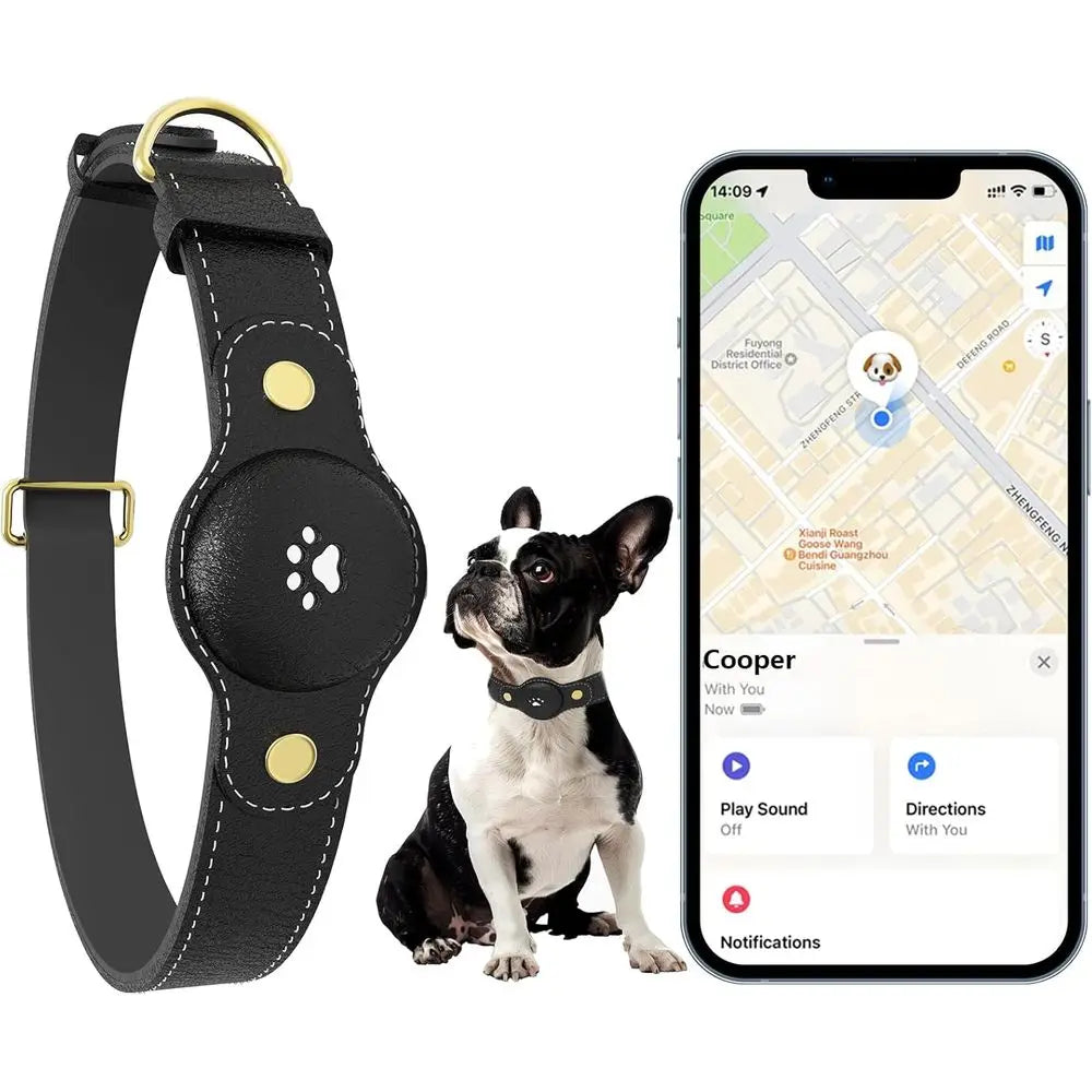 GPS Dog Tracker Collar With Real-Time Location And Free App