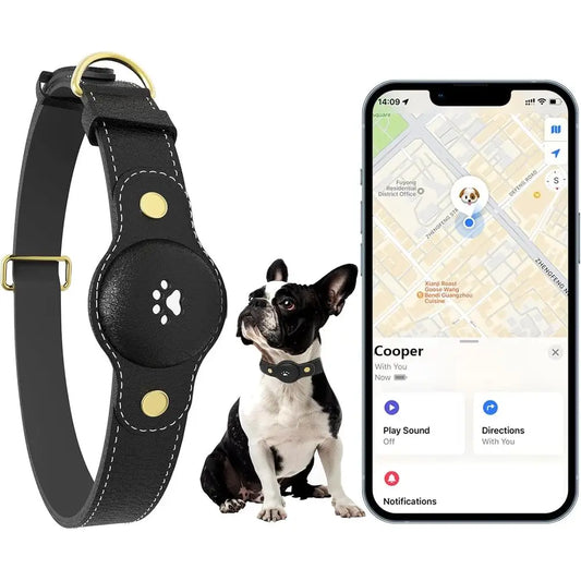 GPS Dog Tracker Collar With Real-Time Location And Free App