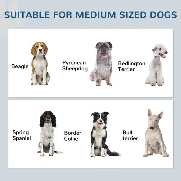 Pet Feeding Station For Medium Dogs With Storage And Raised Bowls