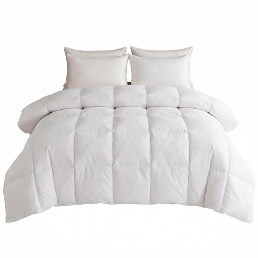 Box Stitched 3 Piece Comforter Set With Pillow Shams