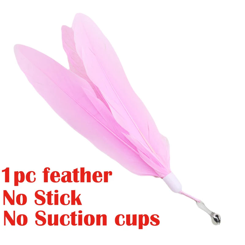 Interactive Cat Toy Handfree Cat Stick Kitten Playing Teaser Wand Toy Suction Cup Feather Wand Pet Supplies Simulation Feather by S And B Enterprise