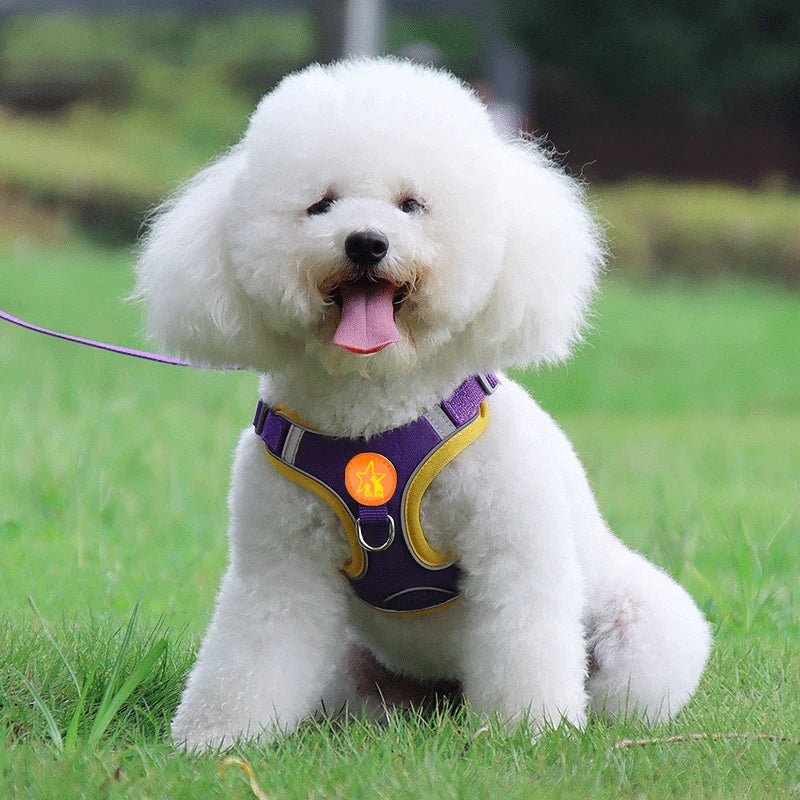 Small Medium Dogs Harness Vest Walking Traction Rope Reflective Straps, Soft Mesh Harness Breathable Pet Supplies by S And B Enterprise