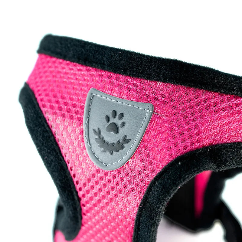 Hot summer small dog pet chest and back breathable dog chest and back suit cat outdoor traction rope child collar by S And B Enterprise
