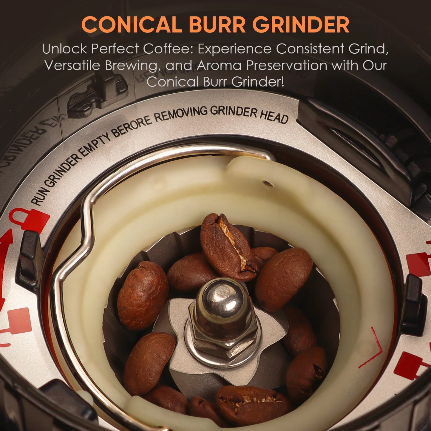 BioloMix electric conical burr coffee grinder with removable holder, 48 settings, S And B Enterprise