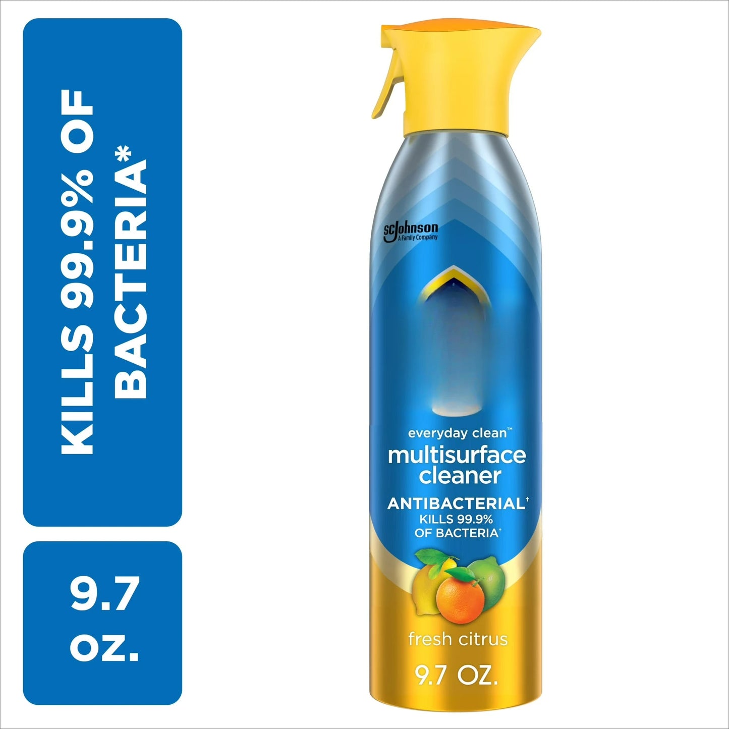 Everyday Cleaner Multi Surface Antibacterial Cleaner, Aerosol, Fresh Citrus, 9.7 oz by S And B Enterprise