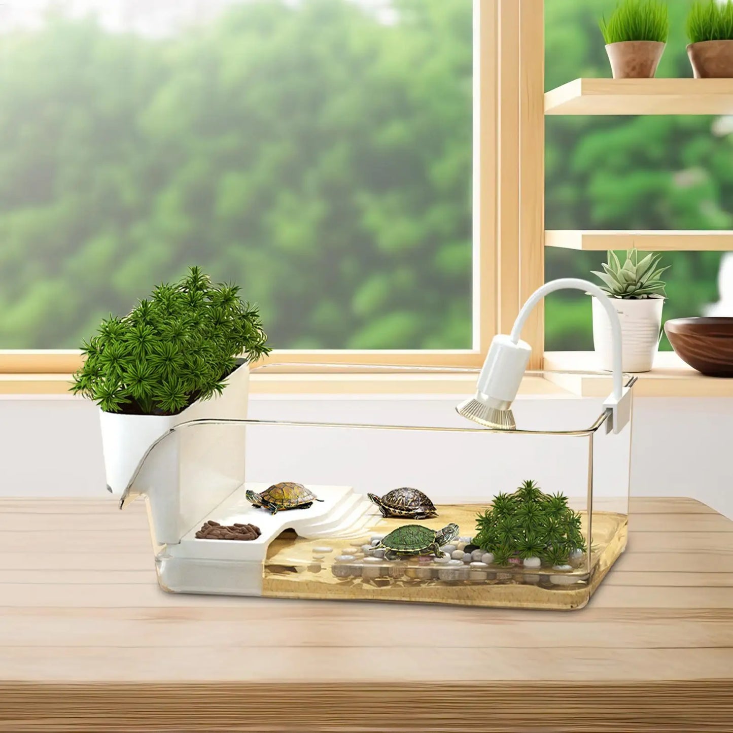 Turtle Tank With Basking Area Transparent Reptile Terrarium Habitat